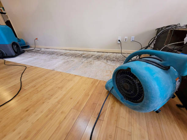 Reliable Basement Flood Cleanup contractor in Lewisville, NC by Hirex Water Damage