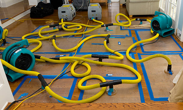 Professional Basement Flood Cleanup technician working in Lewisville, NC